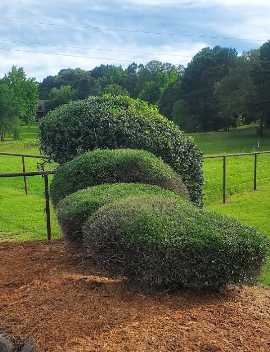 Home Cuts Professional lawn Service LLC Chris McAllister on mower