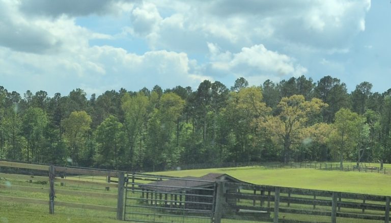 Home Cuts Professional lawn Service LLC Country Estate