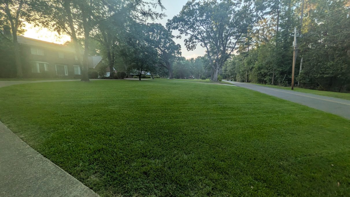 Customers front yard