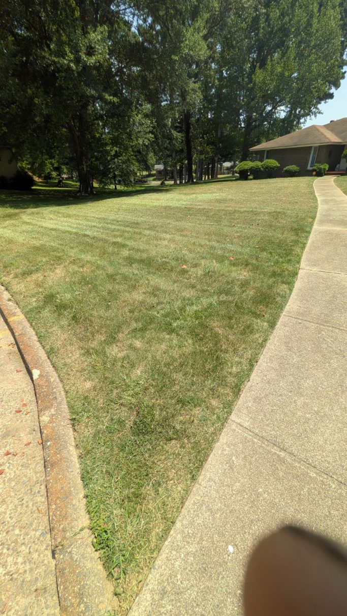 Customers front yard