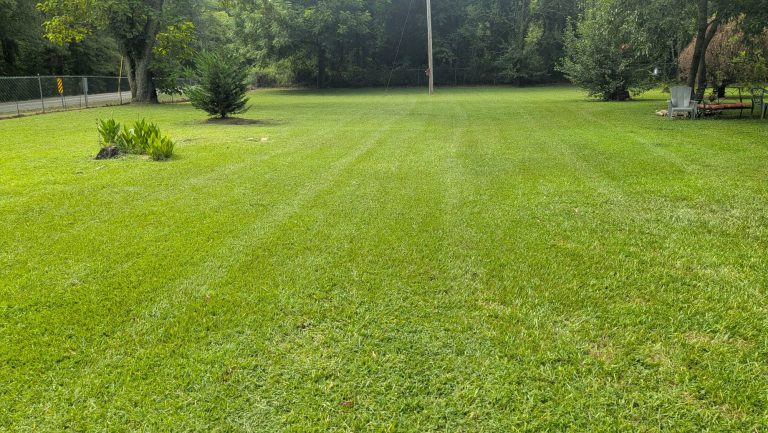 Home Cuts Professional lawn Service LLC Country Estate