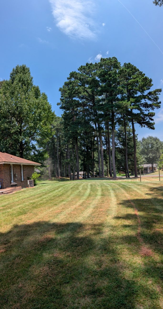 Customers back yard