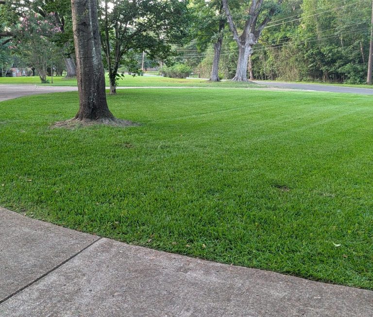 Customers long driveway.