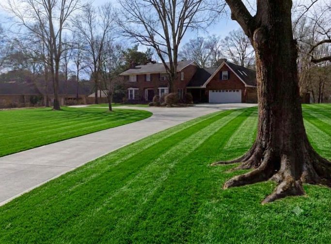 Home Cuts Professional lawn Service LLC Freshly manicured driveway